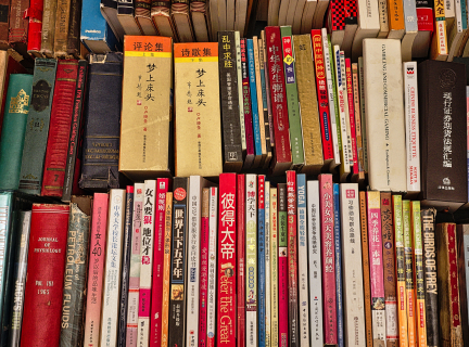 Photo of chinese books 