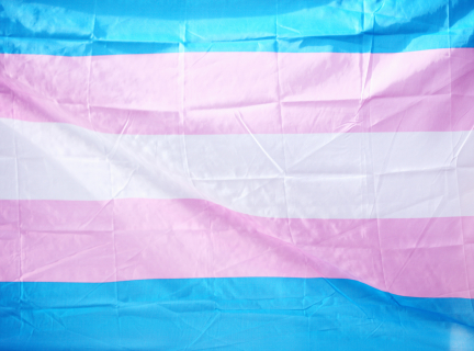 Trans* flag